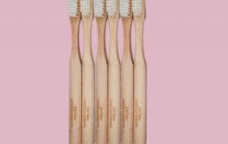 How to Brush Your Dog’s Teeth Using Healthy Toothpaste