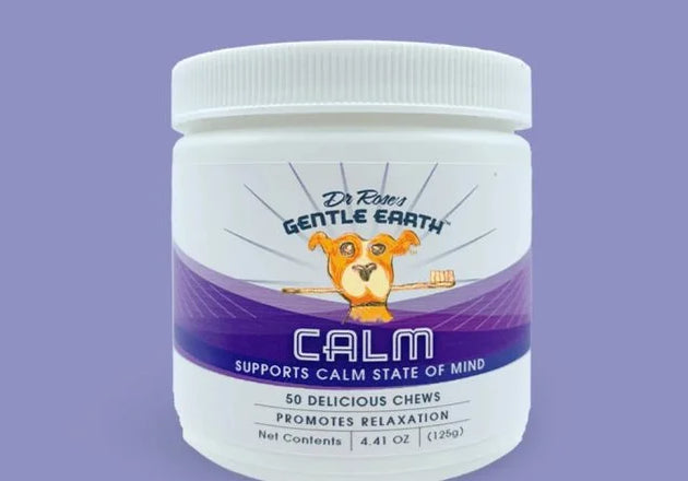 Tips for Soothing Your Dog’s Anxiety