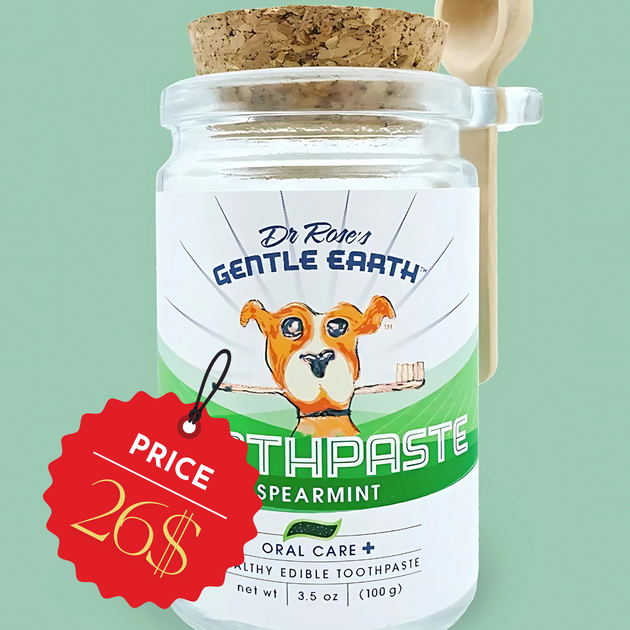 GENTLE EARTH PETS All Natural Vegan Dog Toothpaste – Spearmint